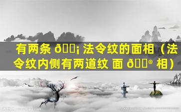 有两条 🐡 法令纹的面相（法令纹内侧有两道纹 面 💮 相）